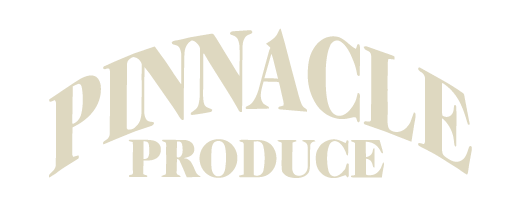 logo-pinnacle